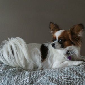 Meet your Posher, Lori